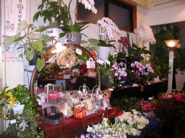 「南天荘」　（愛知県岡崎市）の花屋店舗写真2